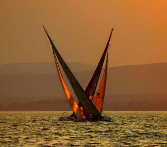 560237_415561871873639_1952712173_n (1)